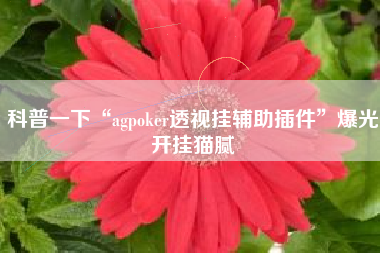 科普一下“agpoker透视挂辅助插件”爆光开挂猫腻