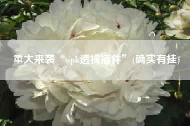 重大来袭“wpk透视插件”(确实有挂)