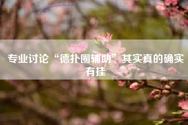 专业讨论“德扑圈辅助”其实真的确实有挂