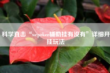 科学直击“wepoker辅助挂有没有”详细开挂玩法