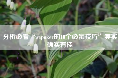 分析必看“wepoker的10个必赢技巧”其实确实有挂