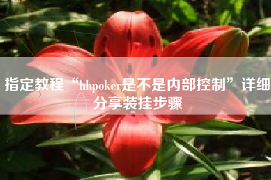 指定教程“hhpoker是不是内部控制”详细分享装挂步骤