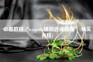 必看教程“waapoke辅助透视教程”(确实有挂)