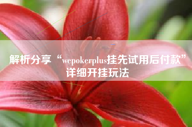 解析分享“wepokerplus挂先试用后付款”详细开挂玩法