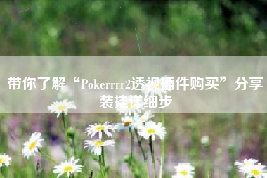 带你了解“Pokerrrr2透视插件购买”分享装挂详细步