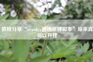 教程分享“wepoker透视底牌脚本”原来真可以开挂