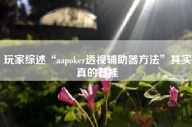 玩家综述“aapoker透视辅助器方法”其实真的有挂