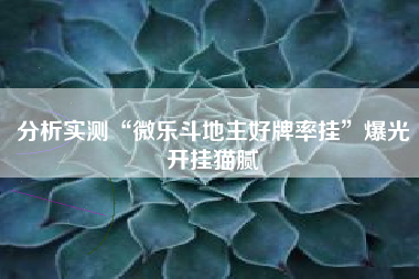分析实测“微乐斗地主好牌率挂”爆光开挂猫腻