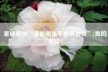 重磅揭秘“德扑圈是不是有透视”(真的有挂)