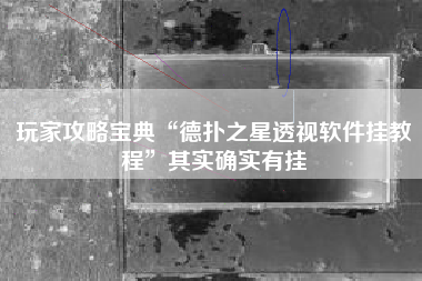 玩家攻略宝典“德扑之星透视软件挂教程”其实确实有挂
