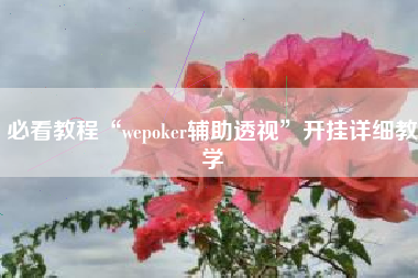 必看教程“wepoker辅助透视”开挂详细教学