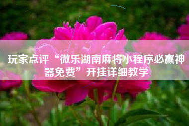 玩家点评“微乐湖南麻将小程序必赢神器免费”开挂详细教学