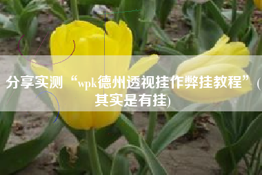 分享实测“wpk德州透视挂作弊挂教程”(其实是有挂)