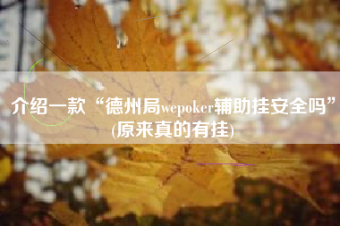 介绍一款“德州局wepoker辅助挂安全吗”(原来真的有挂)
