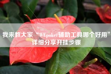 我来教大家“WEpoker辅助工具哪个好用”详细分享开挂步骤
