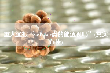 重大通报“wePoker真的能透视吗”(其实有挂)