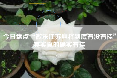 今日盘点“微乐江苏麻将到底有没有挂”其实真的确实有挂