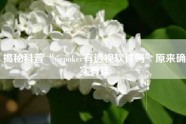 揭秘科普“wepoker有透视软件吗”原来确实有挂