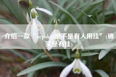介绍一款“wepoker是不是有人用挂”(确实是有挂)