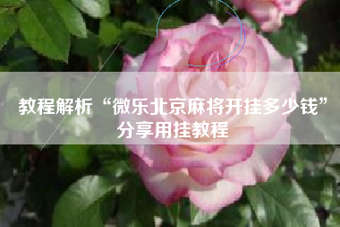 教程解析“微乐北京麻将开挂多少钱”分享用挂教程