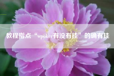教程指点“wpoker有没有挂”的确有挂