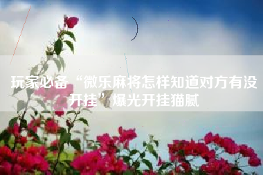 玩家必备“微乐麻将怎样知道对方有没开挂”爆光开挂猫腻 玩家必备“微乐麻将怎样知道对方有没开挂”爆光开挂猫腻