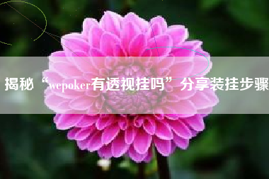 揭秘“wepoker有透视挂吗”分享装挂步骤