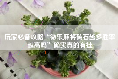 玩家必备攻略“微乐麻将砖石越多胜率越高吗”确实真的有挂