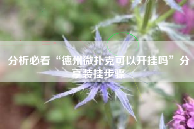 分析必看“德州微扑克可以开挂吗”分享装挂步骤