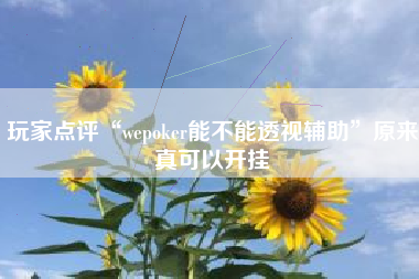 玩家点评“wepoker能不能透视辅助”原来真可以开挂