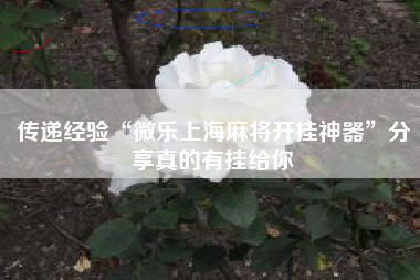 传递经验“微乐上海麻将开挂神器”分享真的有挂给你