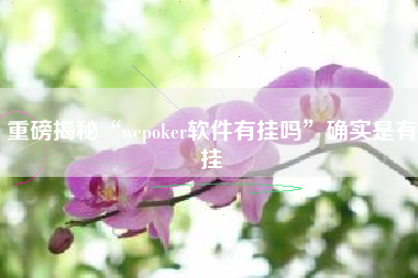 重磅揭秘“wepoker软件有挂吗”确实是有挂