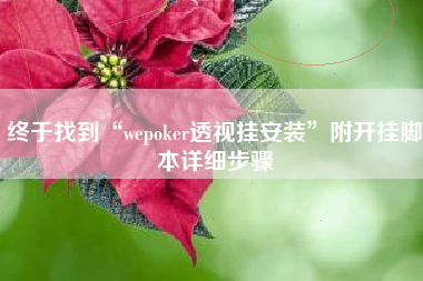 终于找到“wepoker透视挂安装”附开挂脚本详细步骤