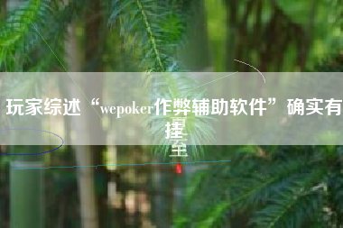 玩家综述“wepoker作弊辅助软件”确实有挂