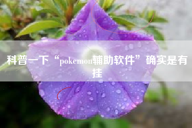 科普一下“pokemon辅助软件”确实是有挂
