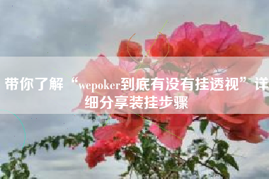 带你了解“wepoker到底有没有挂透视”详细分享装挂步骤