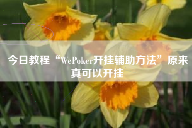今日教程“WePoker开挂辅助方法”原来真可以开挂