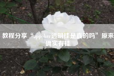 教程分享“appoker透明挂是真的吗”原来确实有挂