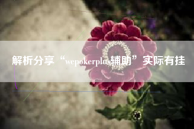 解析分享“wepokerplus辅助”实际有挂