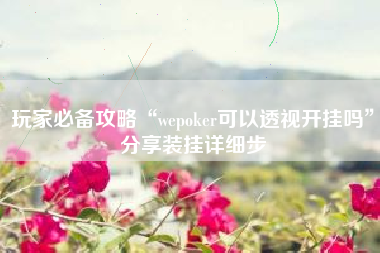 玩家必备攻略“wepoker可以透视开挂吗”分享装挂详细步