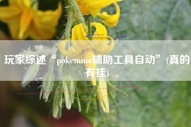 玩家综述“pokemmo辅助工具自动”(真的有挂)
