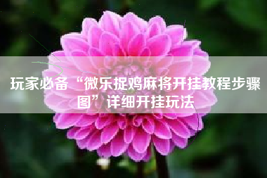 玩家必备“微乐捉鸡麻将开挂教程步骤图”详细开挂玩法