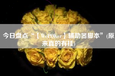 今日盘点“【WePOKer】辅助器脚本”(原来真的有挂)