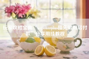 玩家攻略宝典“wepokerplus挂先试用后付款”分享用挂教程