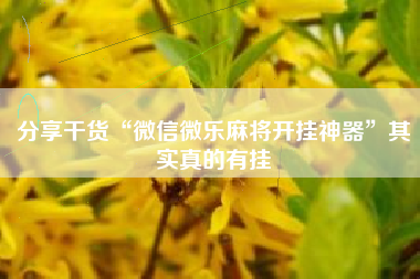 分享干货“微信微乐麻将开挂神器”其实真的有挂 分享干货“微信微乐麻将开挂神器”其实真的有挂