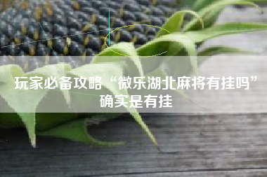 玩家必备攻略“微乐湖北麻将有挂吗”确实是有挂