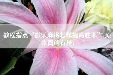 教程指点“微乐麻将怎样提高胜率”(原来真的有挂)