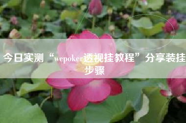 今日实测“wepoker透视挂教程”分享装挂步骤
