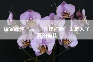 玩家综述“aapoker开挂神器”太坑人了,真的有挂