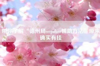 带你了解“德州局wepoker辅助方法”原来确实有挂
